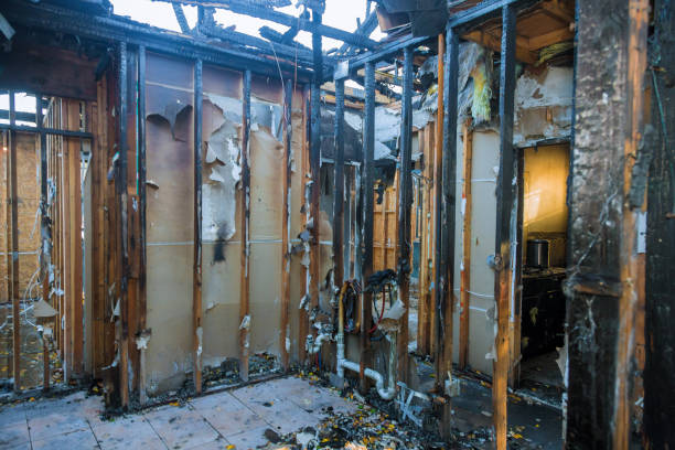 Professional Fire Damage Removal technician working in Hamilton, TX