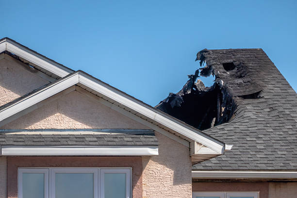 Top rated local Fire Damage Removal specialists in Hamilton, TX